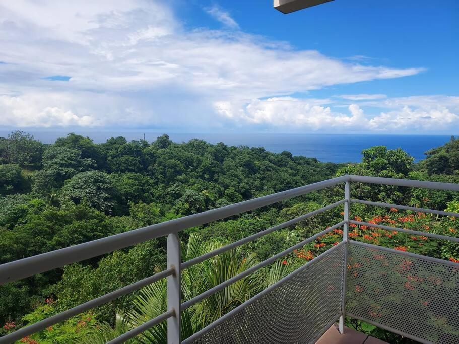 Grand Studio En Bas De Villa Avec Vue Sur Mer Au Carbet Le Carbet Kültér fotó