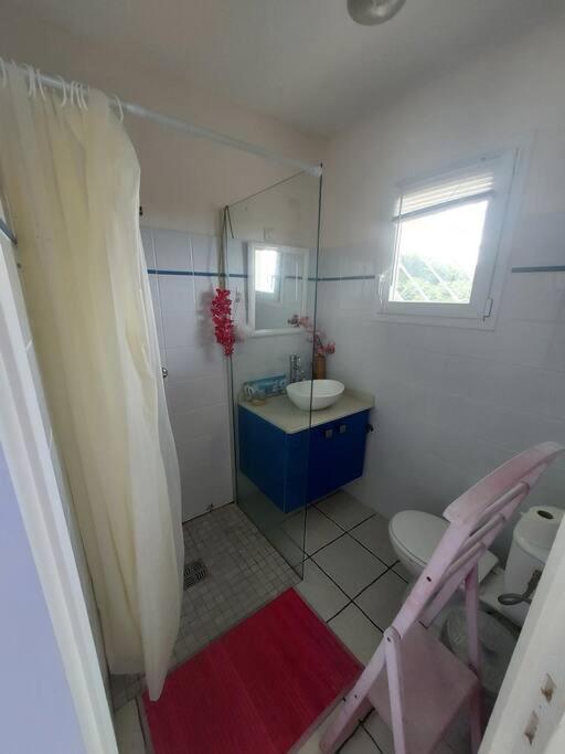 Grand Studio En Bas De Villa Avec Vue Sur Mer Au Carbet Le Carbet Kültér fotó