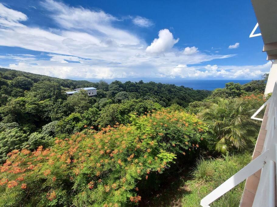 Grand Studio En Bas De Villa Avec Vue Sur Mer Au Carbet Le Carbet Kültér fotó